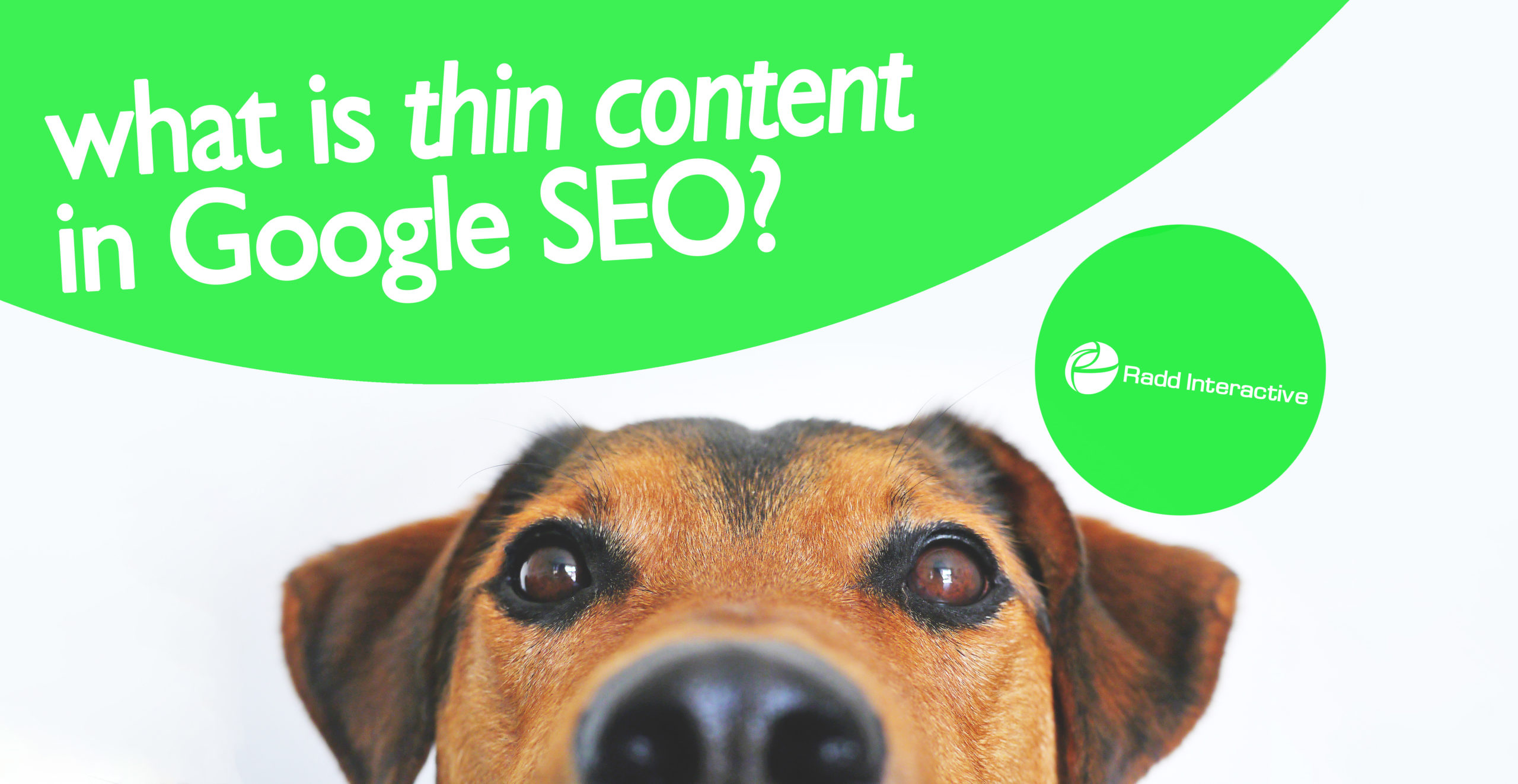 SEO markup and thin content warning example in Google Console