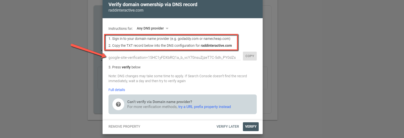 An example of the DNS verification menu when setting up a Google Search Console domain