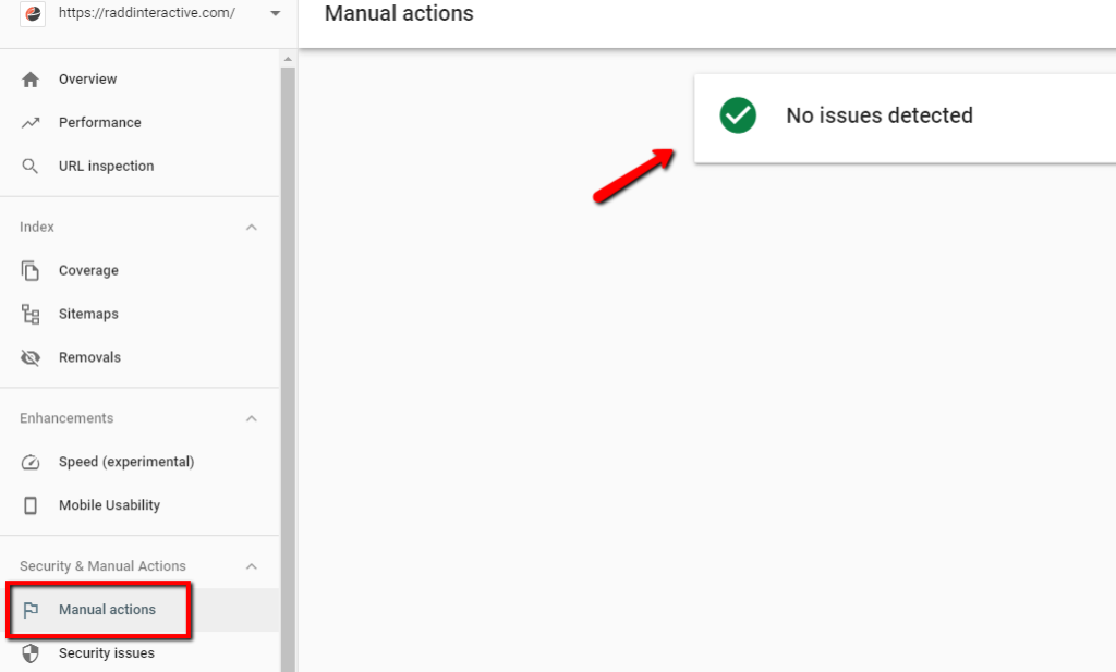 Google Search Console manual actions status report
